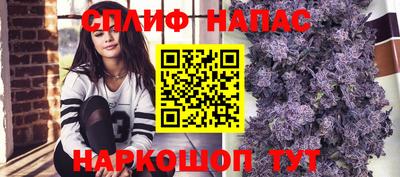 дживик Ирбит