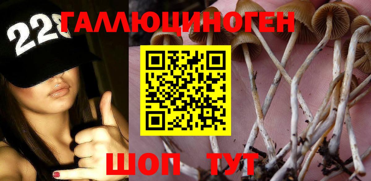 Кунгур  Псилоцибиновые грибы Psilocybe  Вход с VPN 